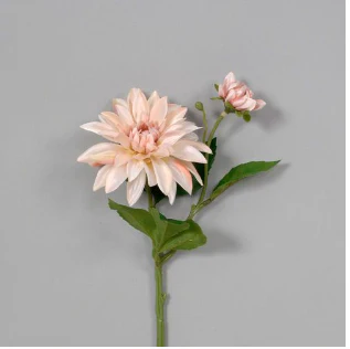 Bisque Dahlia Stem