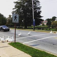 Duck Crossing Keychain/Ornament - Image 4