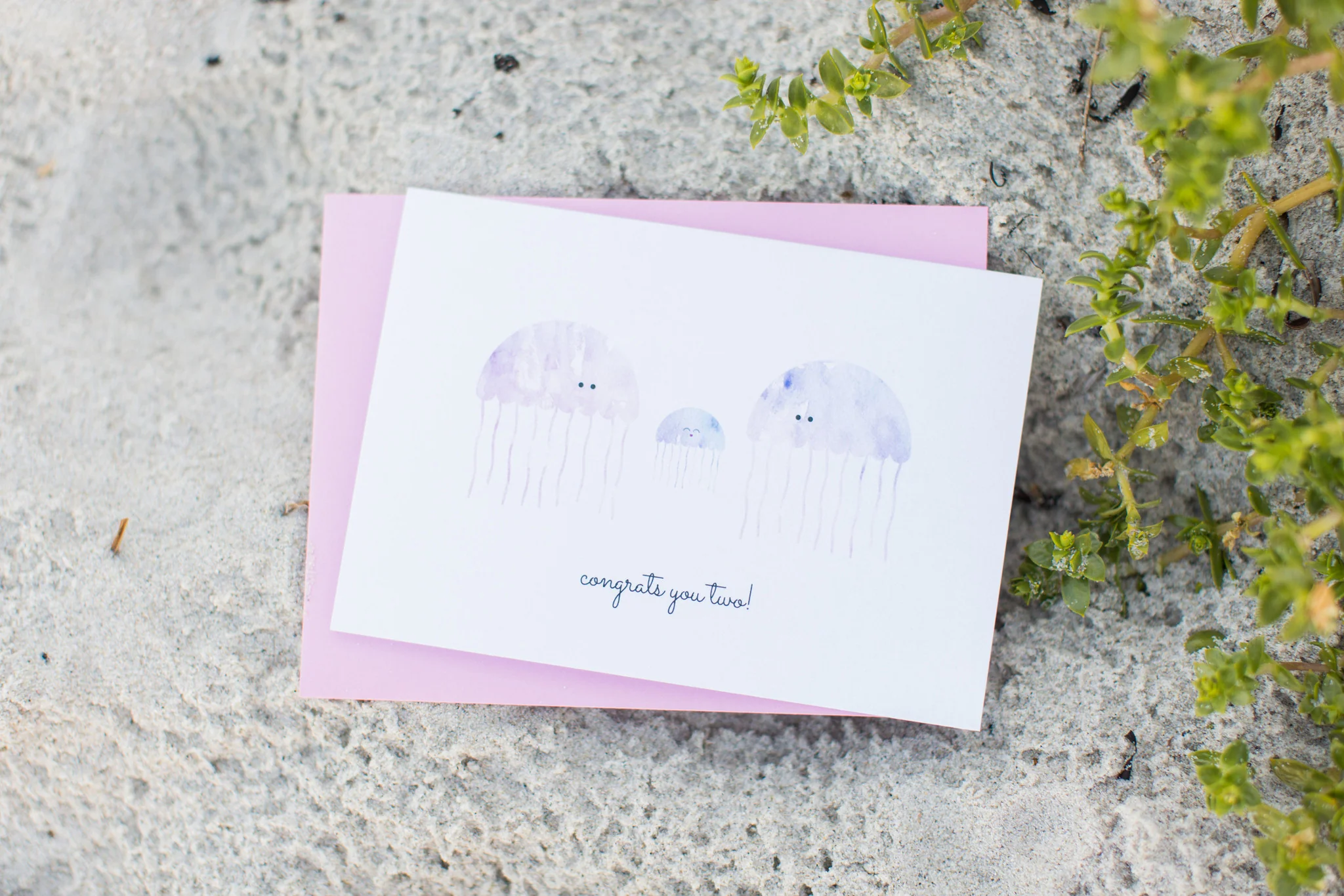 Jellyfish: Congrats You Two! - Image 2
