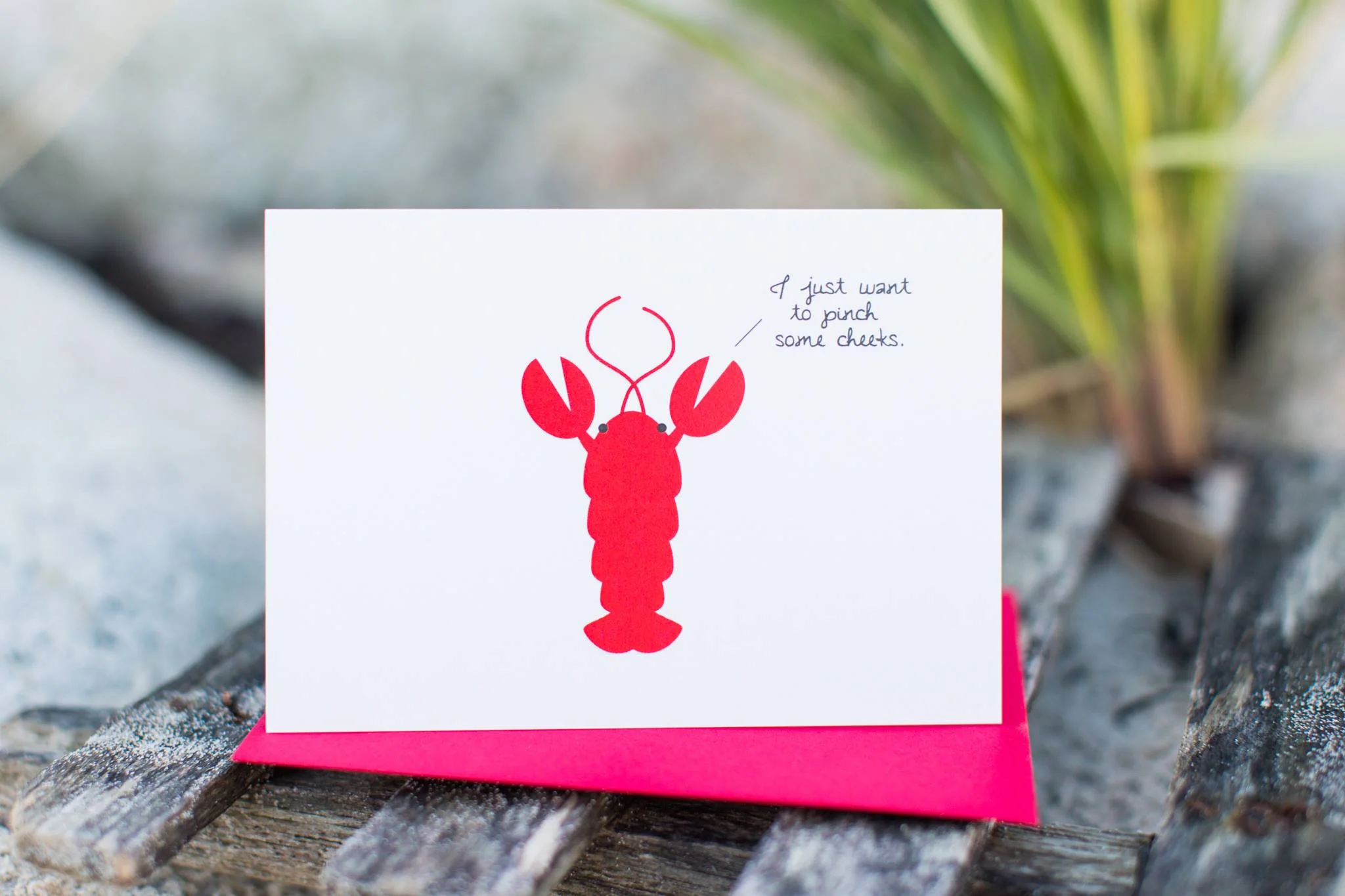 Lobster: I Just Want to Pinch Some Cheeks! - Image 2