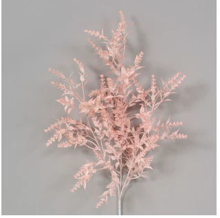 Malt Grass Bush