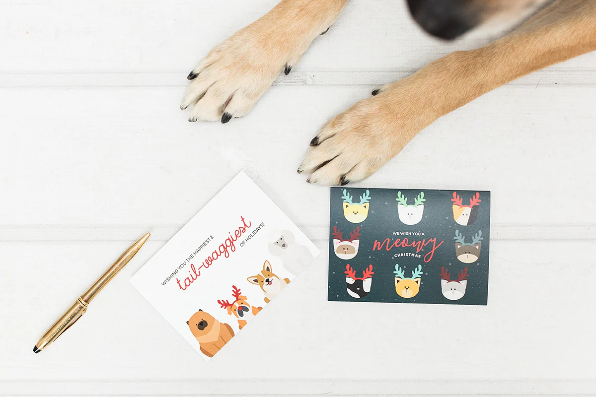 Tail Waggy Holidays - Image 4