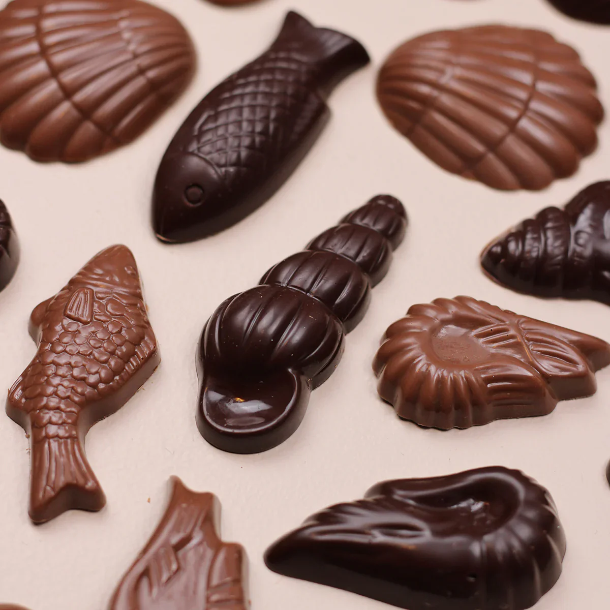 Rousseau Chocolates - Sea Beings - Image 3