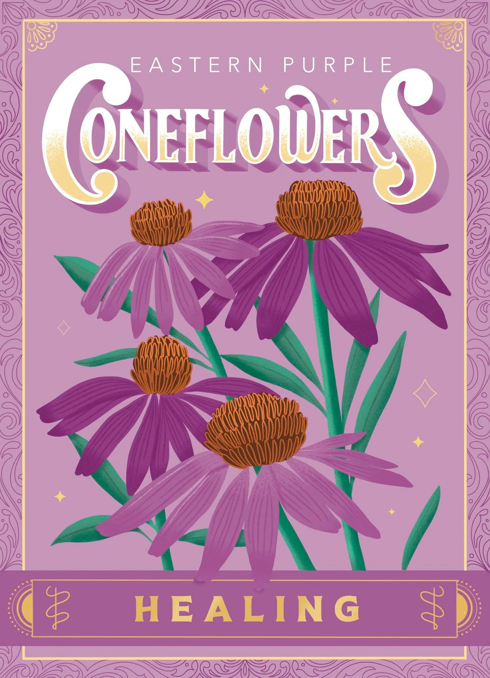 Seed Packets - To & From Seed Co. - Image 7